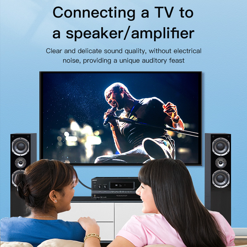 CHOSEAL RCA Cable Digital Coax - đánh giá và giá Home Cinema Subwoofer